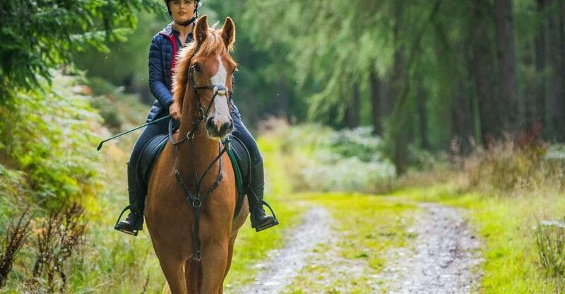 horseback-riding-in-kissamos