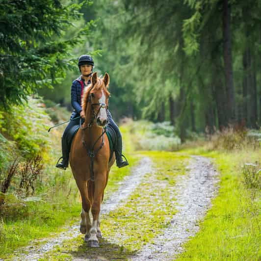 horseback-riding-in-kissamos
