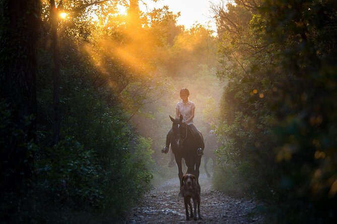 Horseback Riding in Konavle Region with Transport from Dubrovnik - Final Thoughts