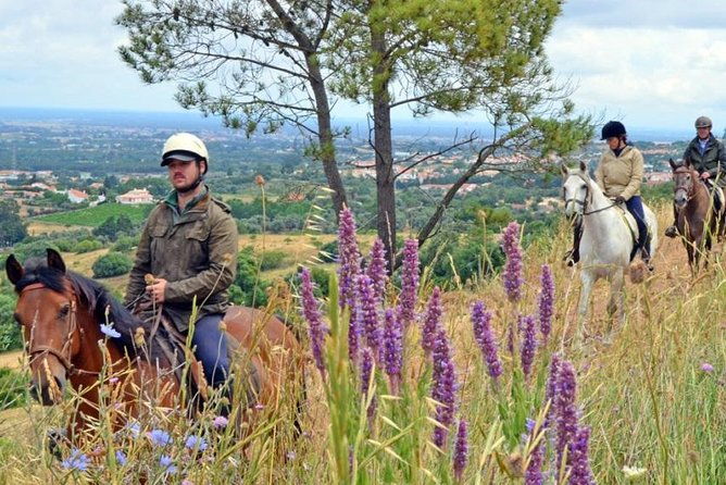 horseback-riding-in-lisbon-arrabida-louro-trail-mountain-5-6-hours