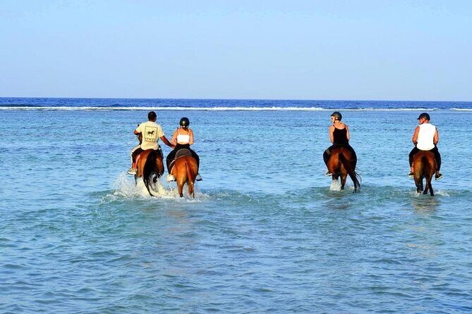 Horseback riding in Marsa Alam and Port Ghalib - Key Points