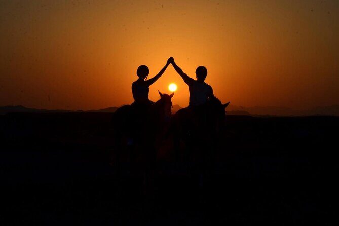 Horseback riding in Marsa Alam and Port Ghalib - A Detailed Look at the Horseback Riding Experience