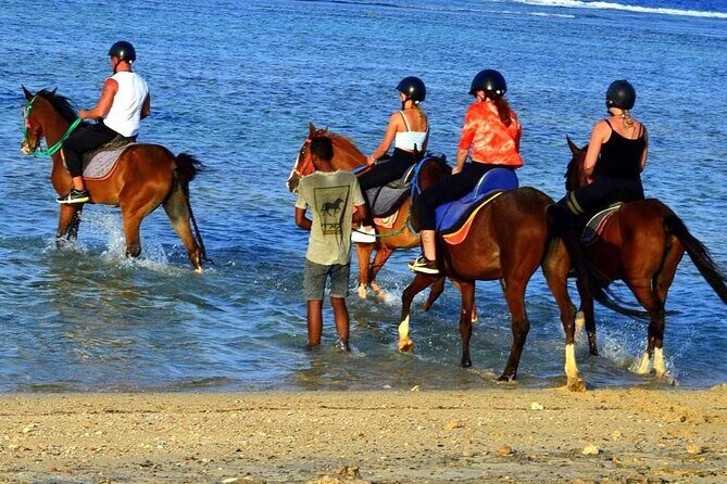 Horseback riding in Marsa Alam and Port Ghalib - Frequently Asked Questions