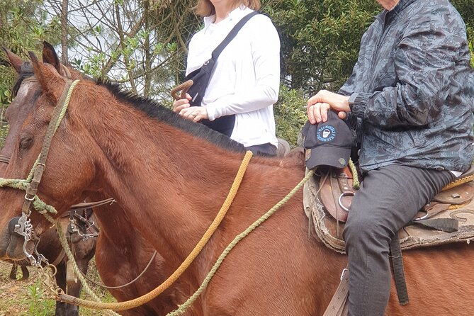 horseback-riding-in-medellin-mountains