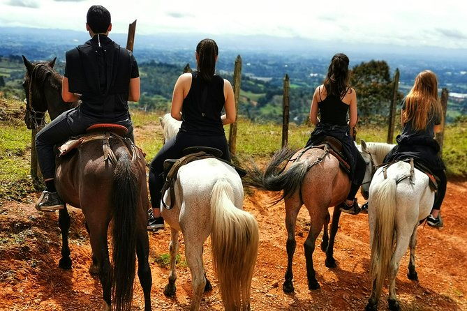 horseback-riding-in-medellin-private-tour-great-views-horses
