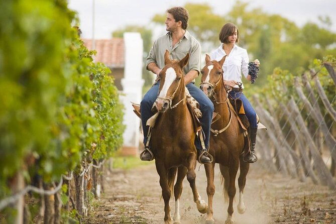 horseback-riding-in-mendoza-through-the-vineyards-and-river-with-optional-asado