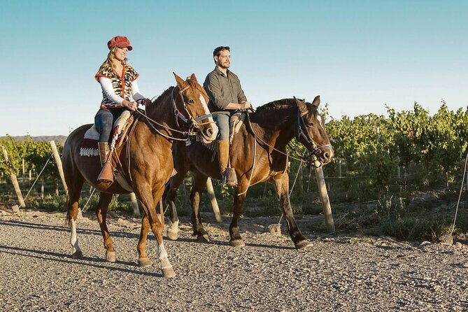 horseback-riding-in-mendoza-through-the-vineyards-and-river-with-optional-asado