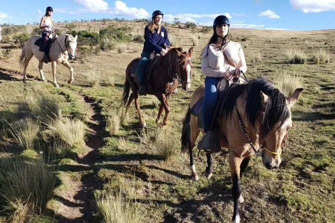 horseback-riding-in-miradores-del-valle-del-cusco-peru