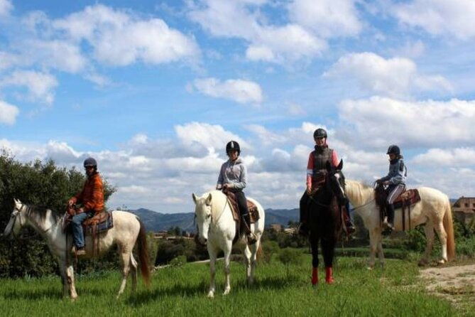 horseback-riding-in-montserrat-mountain-natural-park-barcelona-1-to-2-hrs