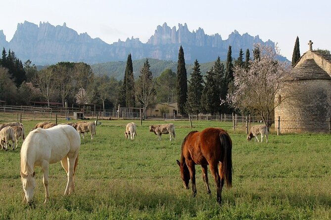 horseback-riding-in-montserrat-mountain-natural-park-barcelona-1-to-2-hrs