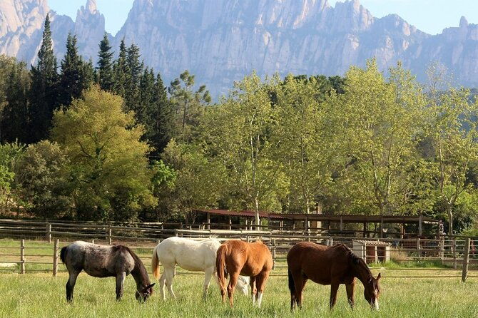 horseback-riding-in-montserrat-mountain-natural-park-barcelona-1-to-2-hrs