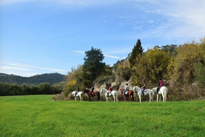horseback-riding-in-randa-valleys-mallorca-spain