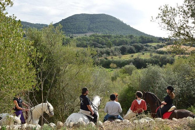 horseback-riding-in-randa-valleys-mallorca-spain
