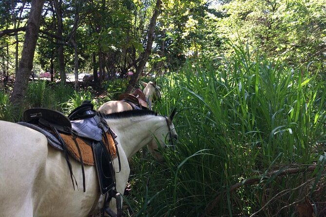 horseback-riding-in-tamarindo-beach