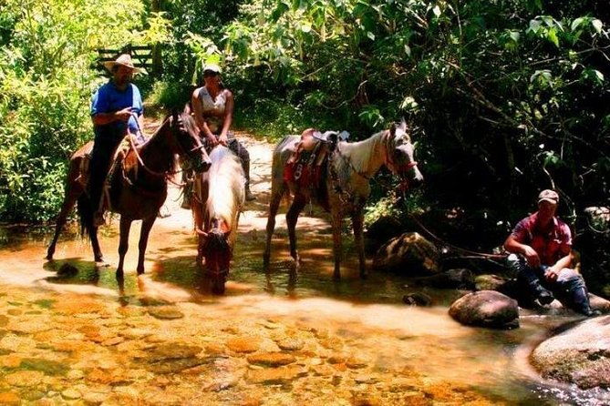 horseback-riding-in-the-atlantic-forest-by-paraty-tours