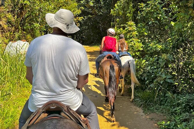 horseback-riding-in-the-atlantic-forest-by-paraty-tours