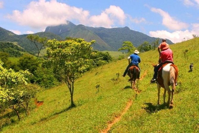 horseback-riding-in-the-atlantic-forest-by-paraty-tours
