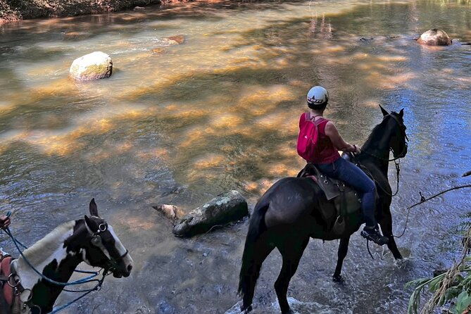 horseback-riding-in-the-atlantic-forest-by-paraty-tours