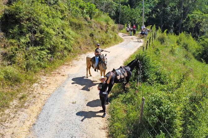 horseback-riding-in-the-atlantic-forest-by-paraty-tours