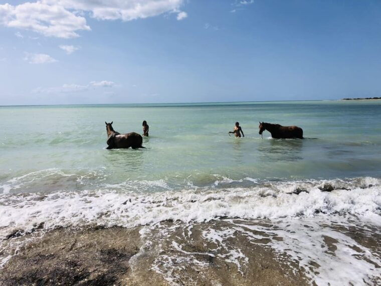 horseback-riding-in-the-beaches-of-sciacca