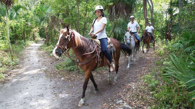 Horseback Riding in the Tropical Jungle - Key Points