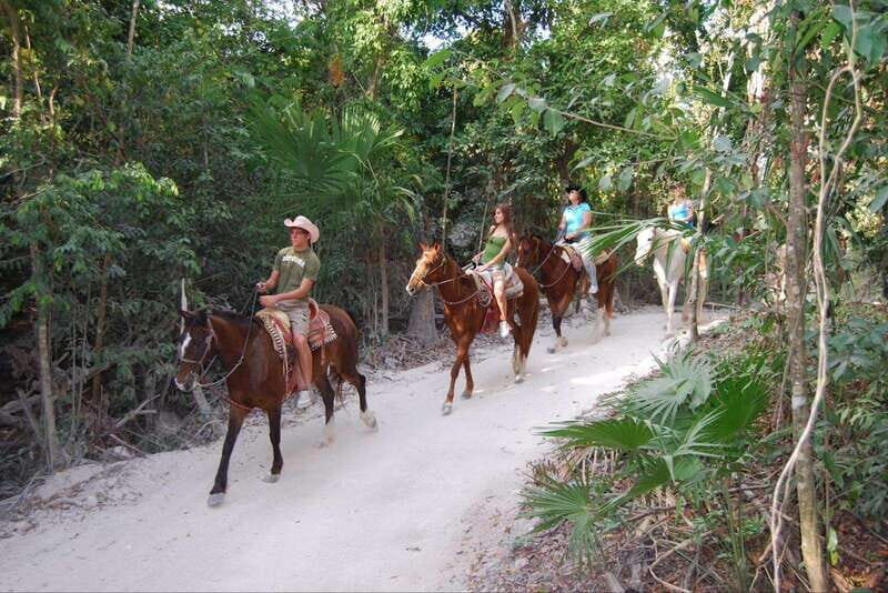 Horseback Riding in the Tropical Jungle - A Closer Look at the Tour Experience