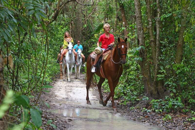 Horseback Riding in the Tropical Jungle - What Travelers Say: Honest Feedback