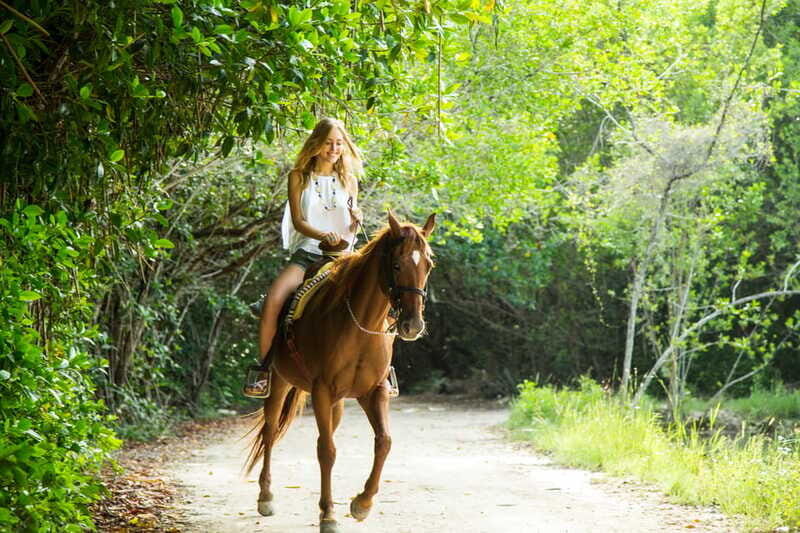 Horseback Riding in the Tropical Jungle - Practical Tips for Your Trip