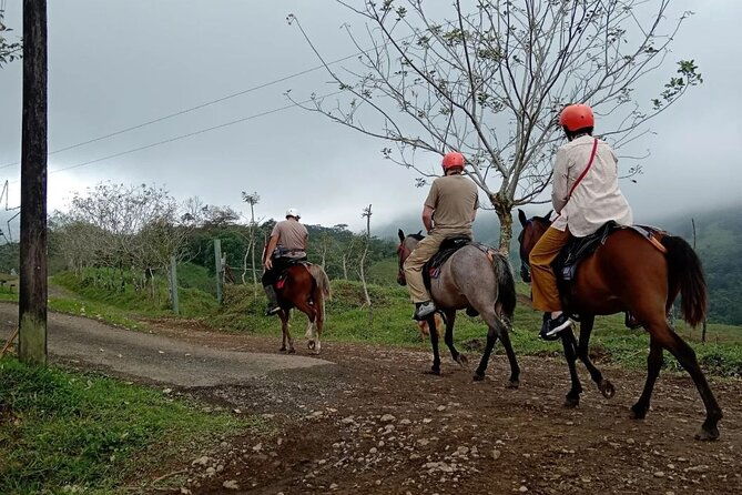 horseback-riding-in-visita-nomada