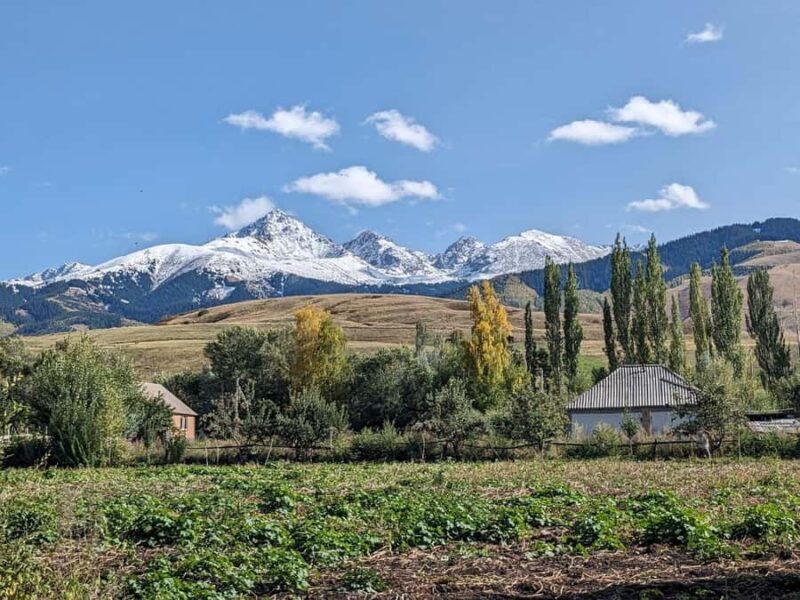 Horseback riding individual 1-day trip in Chon-Kemin gorge - Exploring the 1-Day Horseback Riding Trip in Chon-Kemin Gorge