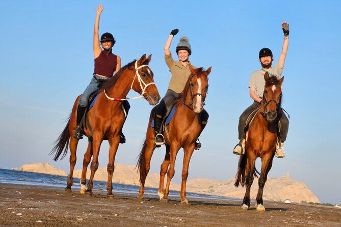 Horseback Riding Muscat Beach - What to Expect from the Horseback Riding Experience in Muscat