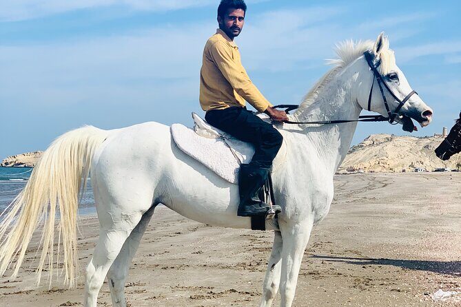 Horseback Riding Muscat Beach - The Value and Pricing