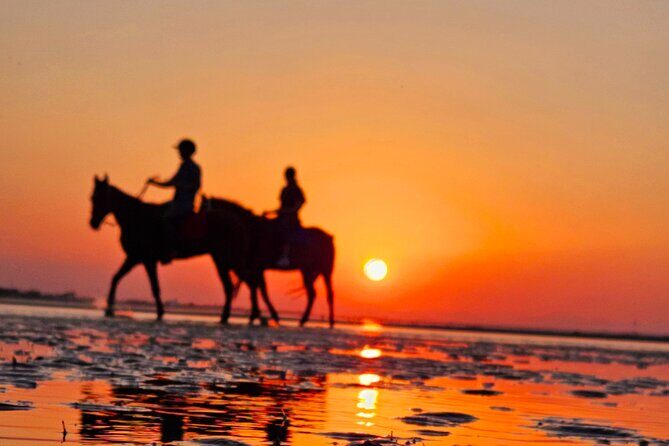 Horseback Riding Muscat Beach - FAQ