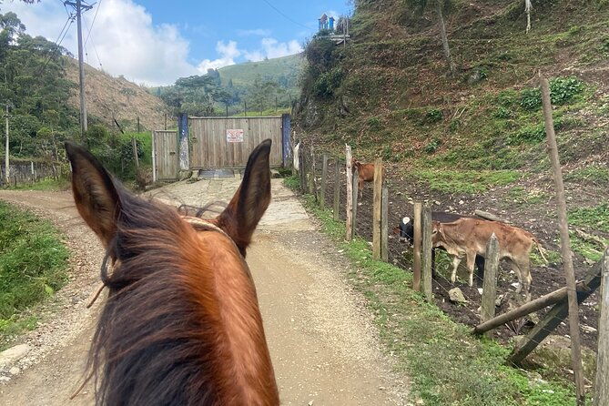 horseback-riding-near-medellin