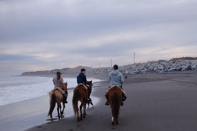 horseback-riding-on-beach-winery-alpacas-penguins-cowboybbq