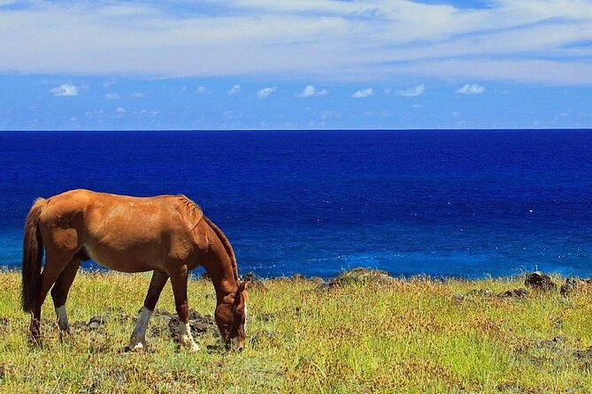 horseback-riding-on-easter-island