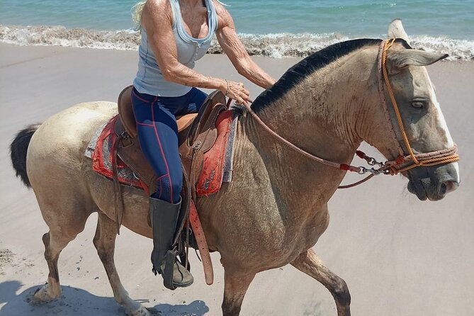 horseback-riding-on-the-beach-and-trails-2-hours