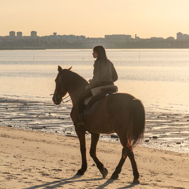 horseback-riding-on-the-beach-at-sunset
