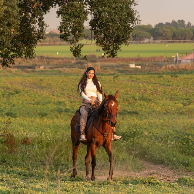 horseback-riding-on-the-beach-at-sunset