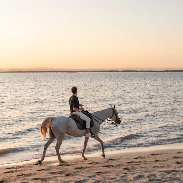 horseback-riding-on-the-beach-at-sunset
