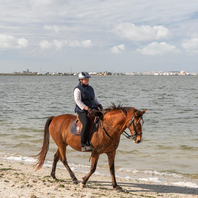 horseback-riding-on-the-beach-tapas-photo-report-pdt