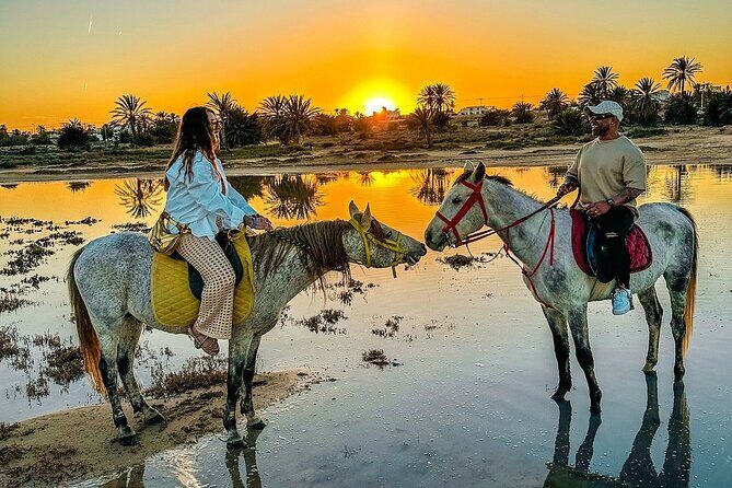 Horseback riding or camel at sunset in Djerba - Why Choose This Experience?