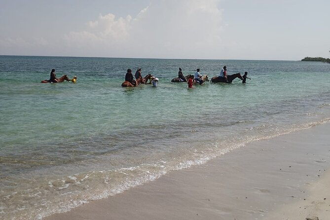 horseback-riding-plus-dunns-river-falls-combo-private-tour