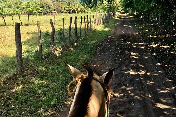 horseback-riding-private-tour