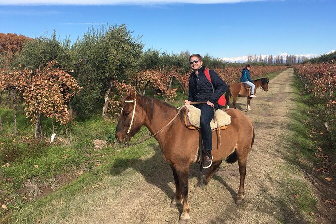 horseback-riding-rancho-viejo-with-barbecue-and-wine