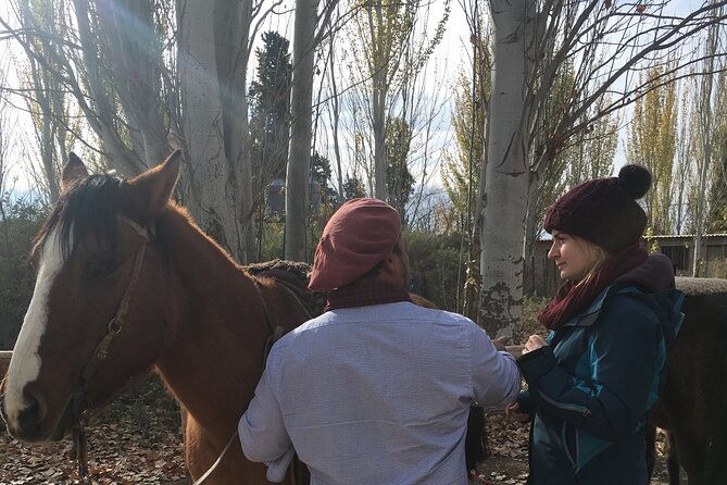 horseback-riding-rancho-viejo-with-barbecue-and-wine