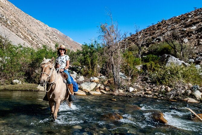 horseback-riding-river-and-mountain-range