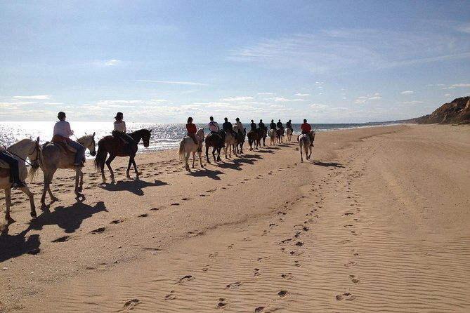horseback-riding-through-donana-and-visit-of-el-rocio-private-tour