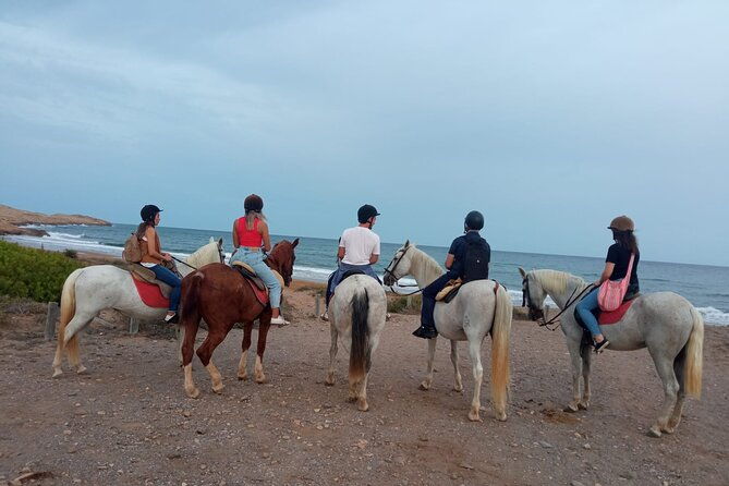horseback-riding-through-the-calblanque-natural-park