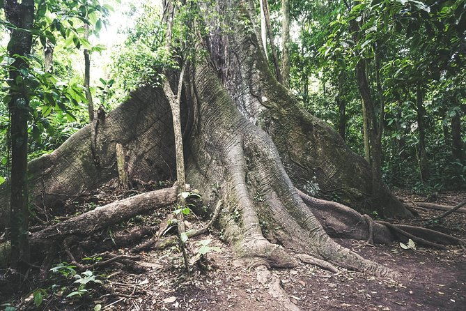 horseback-riding-to-arenal-volcano